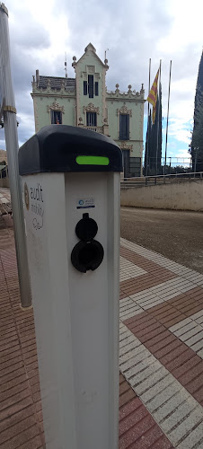 Negocio Audit Mobility Estación De Carga