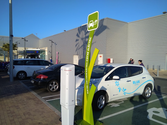 Negocio Electric Car Charge Station - Punto Carga