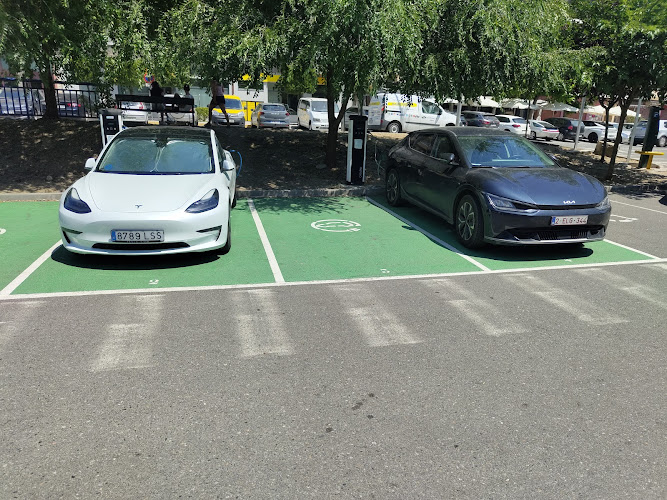 Negocio Electromaps Estación De Carga