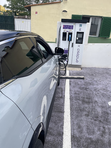 Negocio Endesa Charging Station