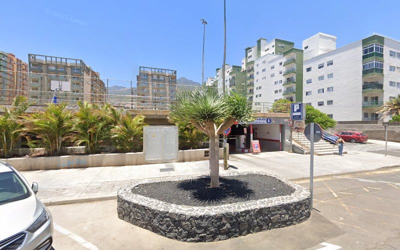 Negocio Endesa X Charging Station