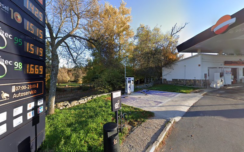 Negocio Endesa X Charging Station