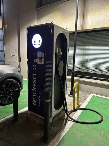 Negocio Endesa X Charging Station
