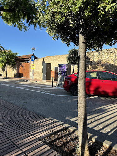Negocio Endesa X Charging Station