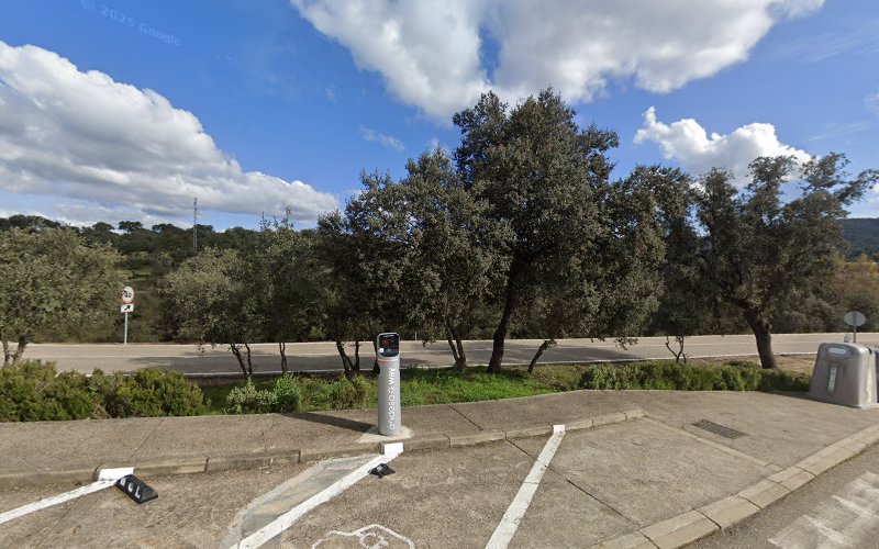 Negocio Endesa X Charging Station