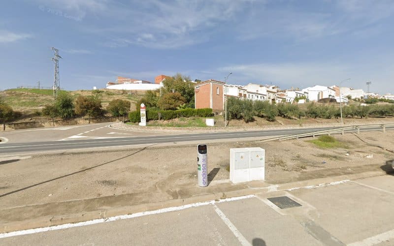 Negocio Endesa X Charging Station