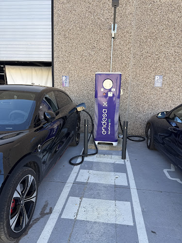Negocio Endesa X Charging Station