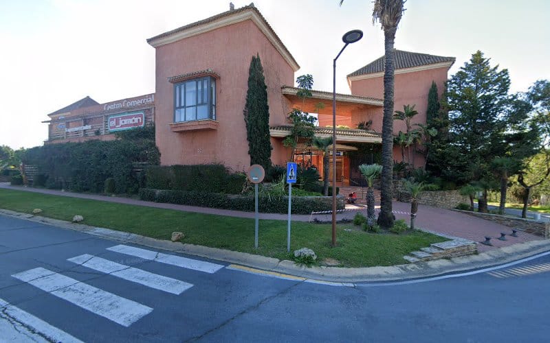 Negocio Endesa X Charging Station