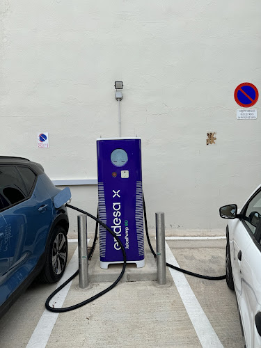 Negocio Endesa X Charging Station
