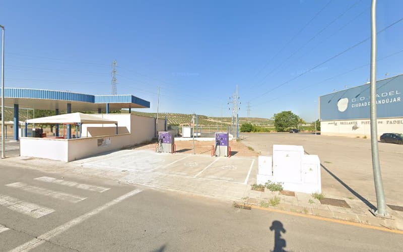 Negocio Endesa X Charging Station