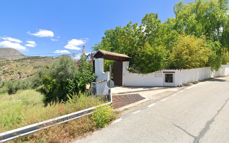 Negocio Endesa X Charging Station