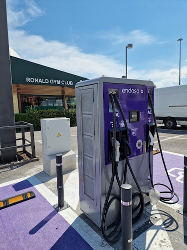 Negocio Endesa X Estación De Carga