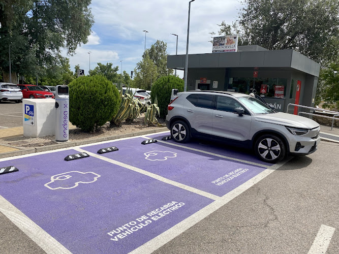 Negocio Endesa X Punto De Carga