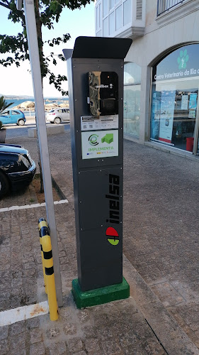 Negocio Estación De Carga De Vehículos Eléctricos