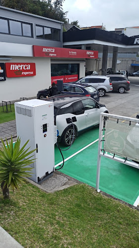 Negocio Estación De Carga De Vehículos Eléctricos