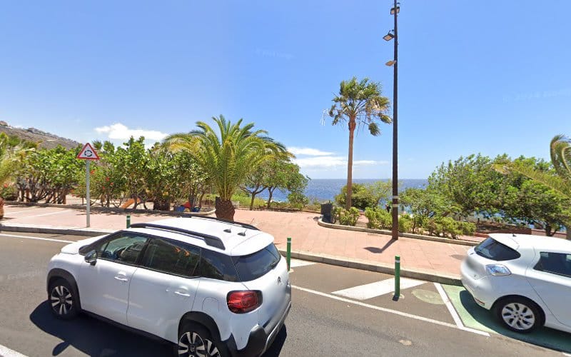 Negocio Estación De Carga De Vehículos Eléctricos