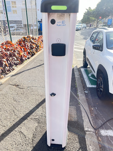 Negocio Estación De Carga De Vehículos Eléctricos