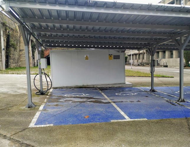 Negocio Estación De Carga De Vehículos Eléctricos