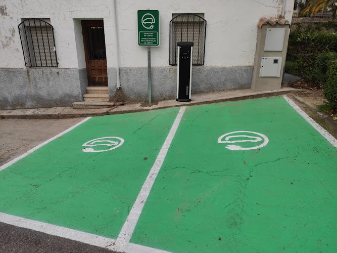 Negocio Estación De Carga De Vehículos Eléctricos