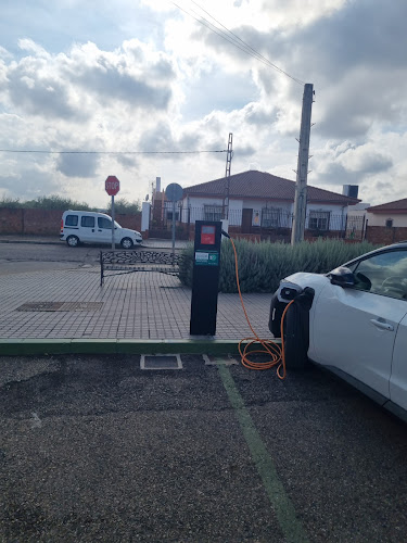 Negocio Estación De Carga De Vehículos Eléctricos