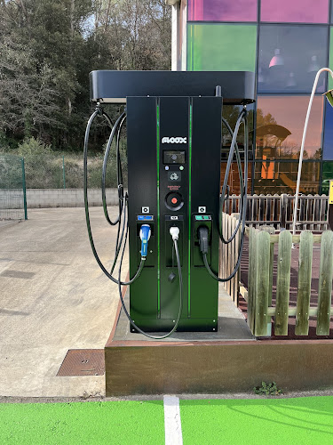 Negocio Estación De Carga De Vehículos Eléctricos