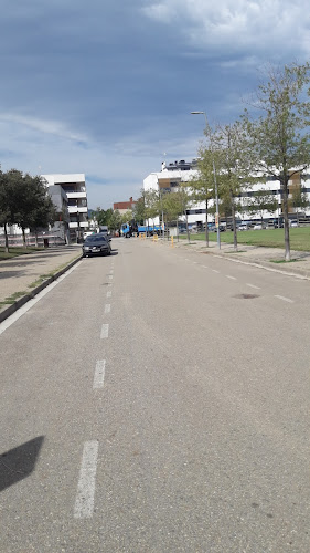 Negocio Estación De Carga De Vehículos Eléctricos