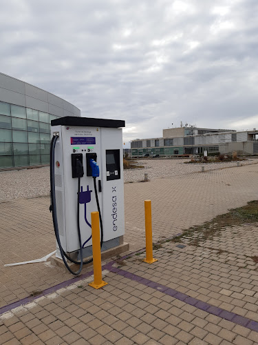 Negocio Estación De Carga De Vehículos Eléctricos