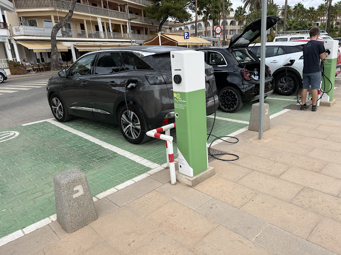 Negocio Estación De Carga De Vehículos Eléctricos