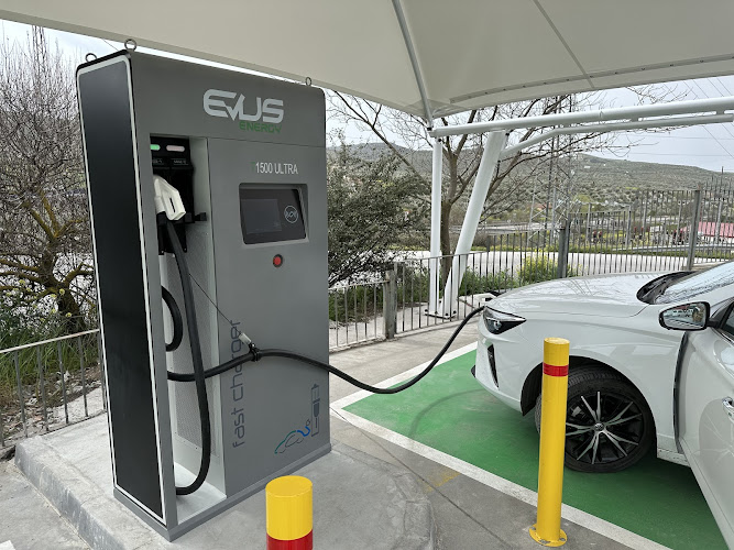 Negocio Estación De Carga De Vehículos Eléctricos