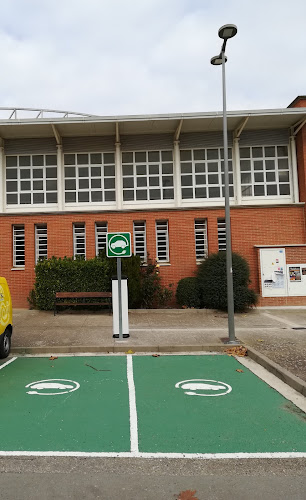Negocio Estación De Carga De Vehículos Eléctricos