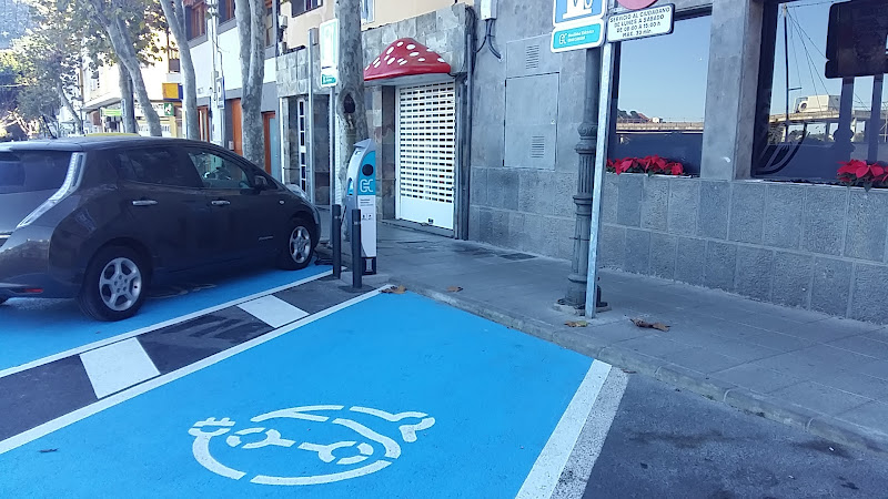 Negocio Estación De Carga De Vehículos Eléctricos