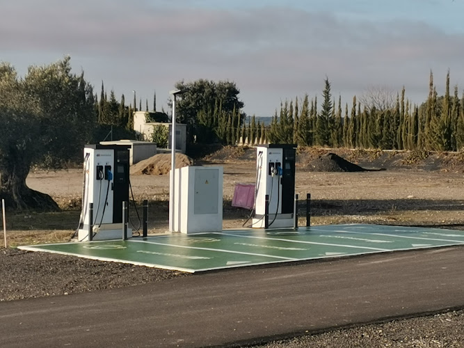 Negocio Iberdrola Charging Station