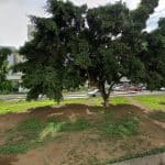 Iberdrola Charging Station en Las Palmas de Gran Canaria | Punto de carga eléctrico