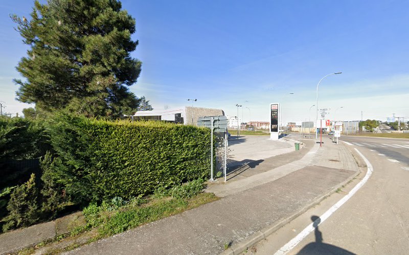 Negocio Iberdrola Charging Station