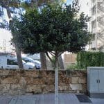 Iberdrola Estación De Carga en Palmanova | Punto de carga eléctrico