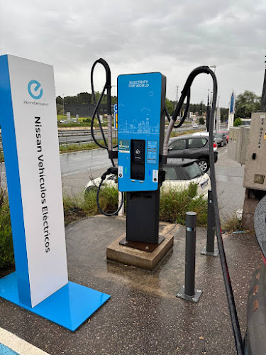 Negocio Nissan Charging Station