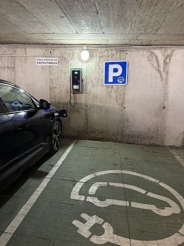 Negocio Punto De Carga De Vehículos Eléctricos