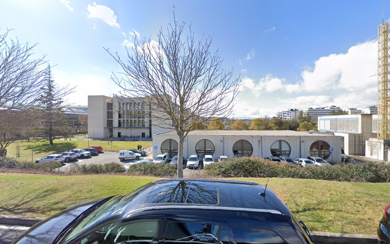 Punto De Carga De Vehículos Eléctricos