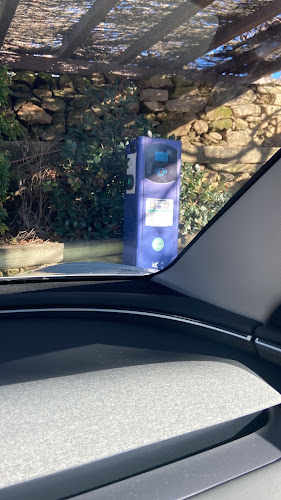 Negocio Punto De Carga De Vehículos Eléctricos