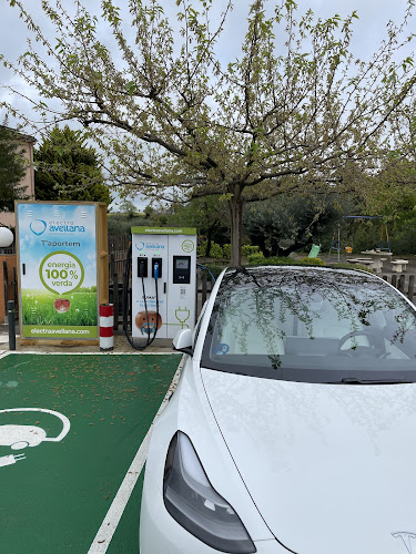 Negocio Punto De Carga Electra Avellana