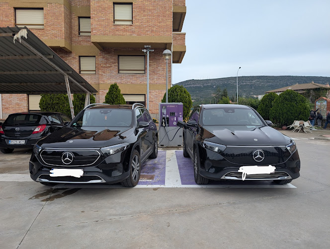 Negocio Punto De Carga Endesa