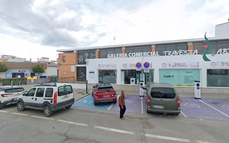 Negocio Punto De Carga Endesa X