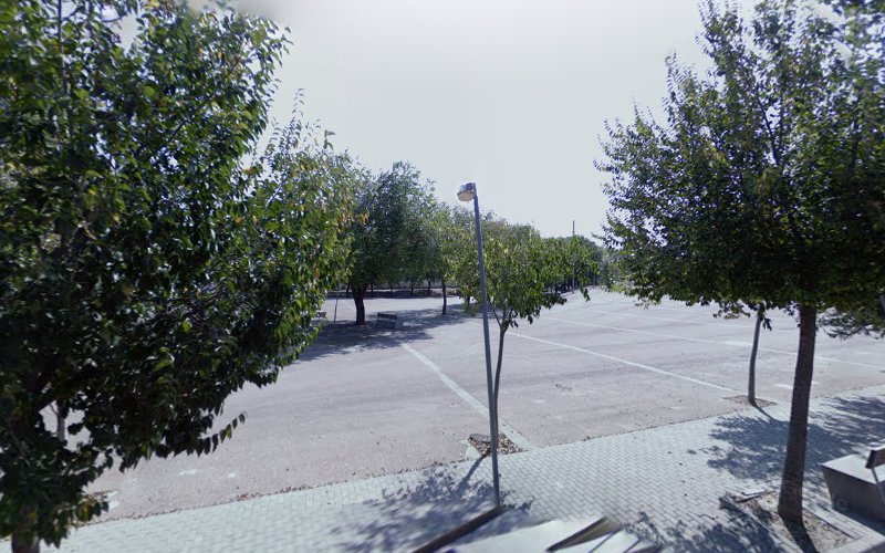 Negocio Punto De Carga Endesa X