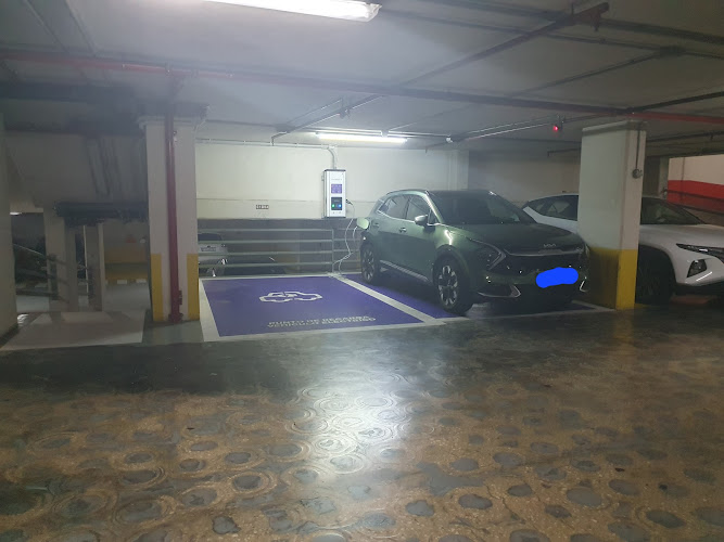 Negocio Punto De Carga Endesa X Way