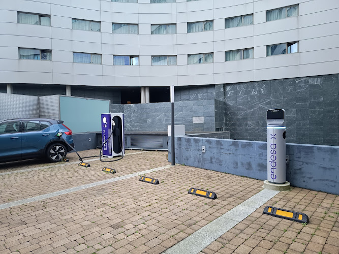 Negocio Punto De Carga Endesa X Way