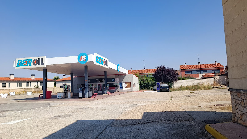 Negocio Punto De Carga Endesa X Way