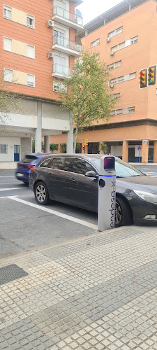 Negocio Punto De Carga Endesa X Way