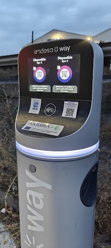 Negocio Punto De Carga Endesa X Way