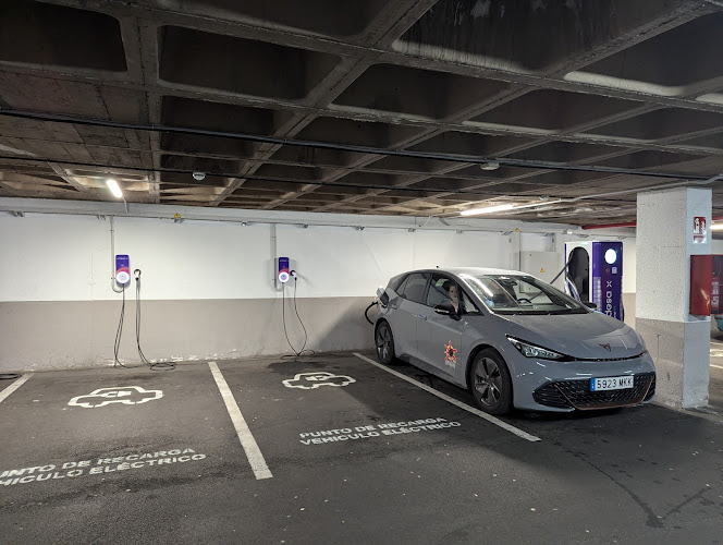 Negocio Punto De Carga Endesa X Way