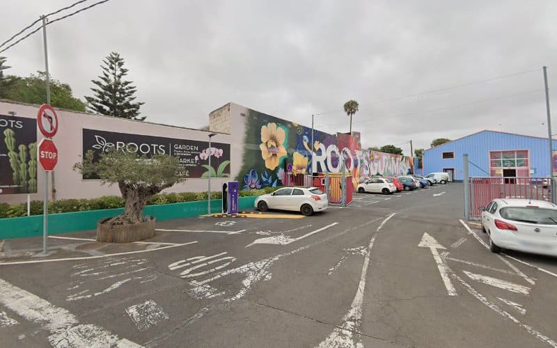 Negocio Punto De Carga Endesa X Way